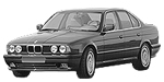 BMW E34 P222E Fault Code